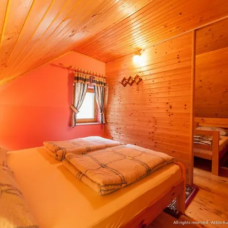 Veverica Apartman Vitanje